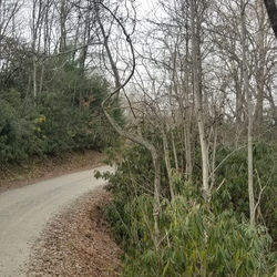 North Carolina Trip